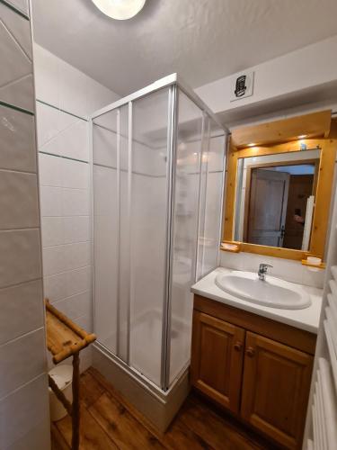 une salle de bain avec douche et lavabo dans l'établissement Appartement style montagne, 4 personnes, 1 chambre, 1 coin montagne - ALPINA07, à Beaufort