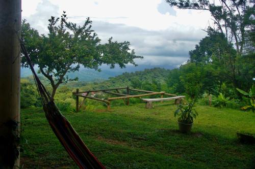 Un paisaje natural cerca del hostal