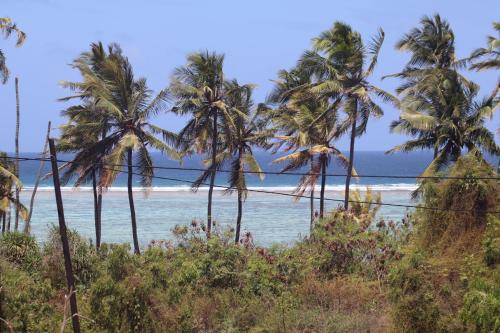 a beach with palm trees and the ocean at Holiday Time Bungalows Sansibar in Gazija