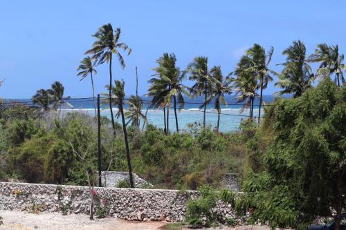 - une vue sur la plage bordée de palmiers et l'océan dans l'établissement Holiday Time Bungalows Sansibar, à Gazija