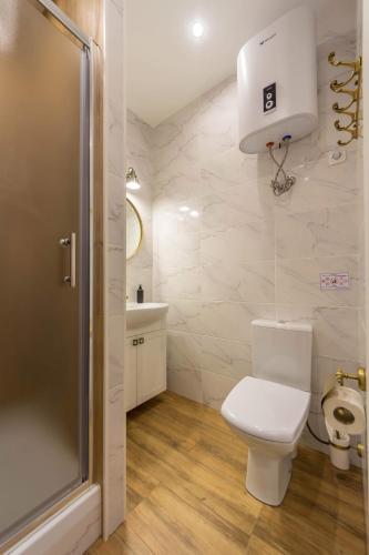 a bathroom with a toilet and a sink at Central Dayflat Apartments in Kyiv