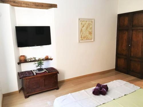 sala de estar con TV de pantalla plana y puerta de madera en Orbetellove, en Orbetello