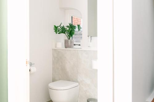 a bathroom with a toilet and a plant on a shelf at Royal Berkshire in Ascot