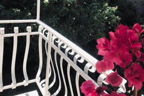 une clôture blanche avec des fleurs roses à côté d'une brousse dans l'établissement Santa Lucia Home, à Naples