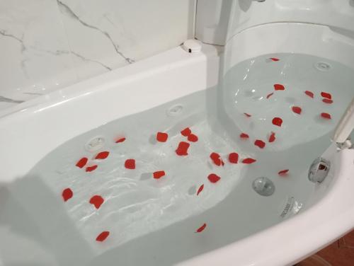 uma banheira branca com corações vermelhos no chão em B&B A Casa Mia em Pisa