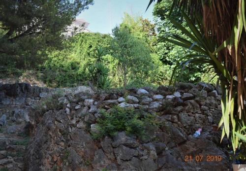 Φυσικό τοπίο κοντά σε αυτό το διαμέρισμα