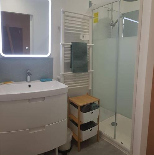 une salle de bain blanche avec un lavabo et une douche dans l'établissement Come à la maison!, à Coupvray