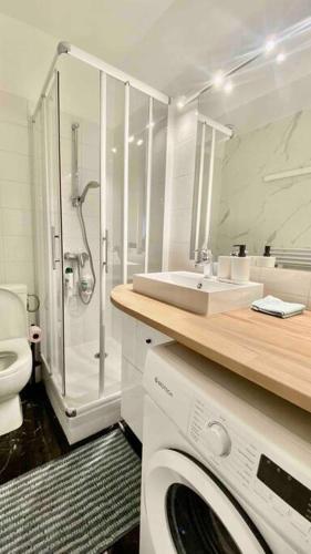 une salle de bain avec une machine à laver et un lavabo dans l'établissement Charmant appartement à Nogent-sur-Marne, à Nogent-sur-Marne