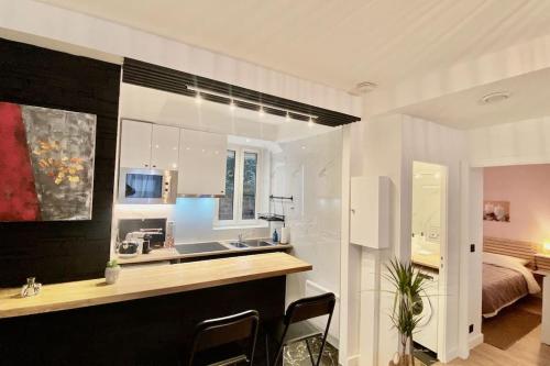 a kitchen and living room with a sink and a bed at Charmant appartement à Nogent-sur-Marne in Nogent-sur-Marne