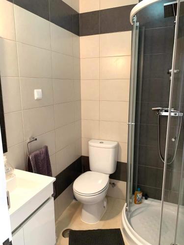 a small bathroom with a toilet and a shower at Ver-O-Mar in Carvoeiro