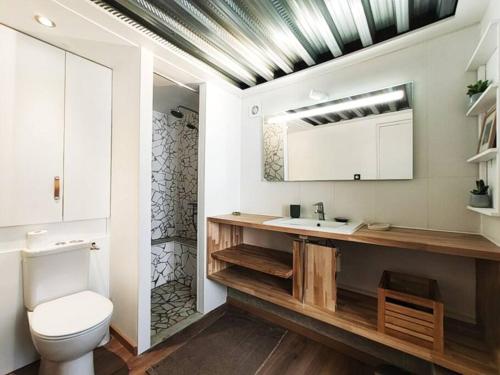 une salle de bain avec toilettes et lavabo dans l'établissement Studio aux Arceaux, sur jardin, dans maison 1900, à Montpellier