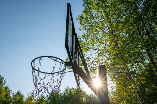 a basketball hoop with the sun shining on it at Mersey River Chalets a nature retreat in Caledonia