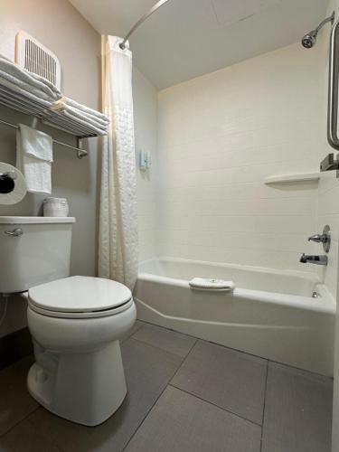 a bathroom with a toilet and a bath tub at Quality Inn Calhoun North I-75 in Calhoun