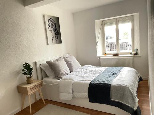 une chambre blanche avec un lit et une fenêtre dans l'établissement Appartement la petite Venise, à Colmar