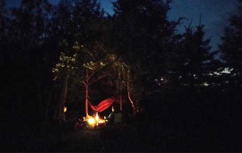 a campsite with a hammock in the woods at night at Małopolskie Swojskie in Olszyny