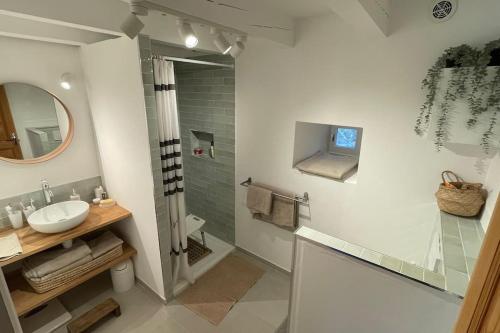 ein Bad mit einem Waschbecken und einer Dusche mit einem Spiegel in der Unterkunft La maison aux volets blancs in Beaux