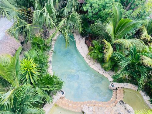 an overhead view of a swimming pool in a garden at Jaakbal Tulum in Tulum