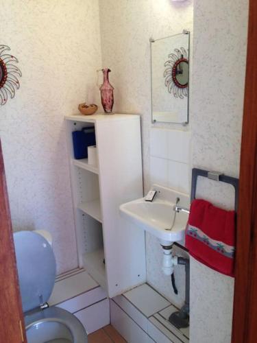 une petite salle de bain avec un lavabo et des toilettes dans l'établissement Beau F2 rdc entier 40m2 calme terrasse jardin parking gratuit sur place, à Montpellier