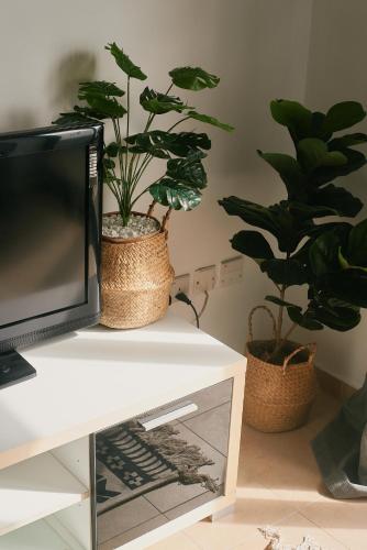 Porto by Shmoo!にあるテレビまたはエンターテインメントセンター