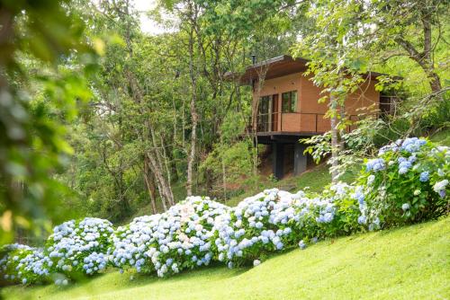 Un jardín fuera de Pousada Tijupá