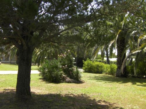Gallery image of Kivotos Villa Studios in Roda