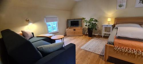 a living room with a couch and a bed and a television at Jedermanns Nest in Nümbrecht