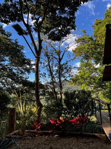 a view of a garden with flowers and trees at Entremonte Cabañas in La Vega