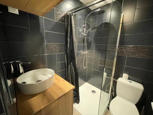a bathroom with a shower and a toilet and a sink at cosy douillet la grande motte in La Grande-Motte