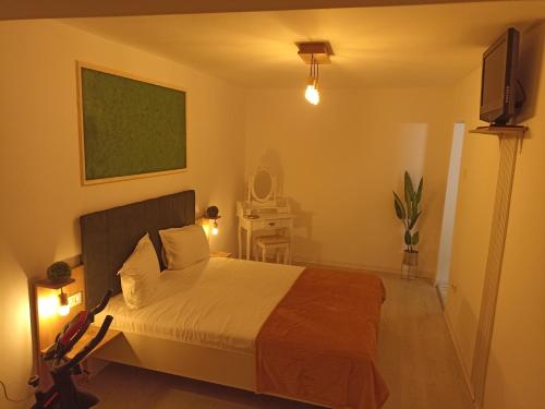 1 dormitorio con 1 cama y TV de pantalla plana en Ame Farmec en Cluj-Napoca