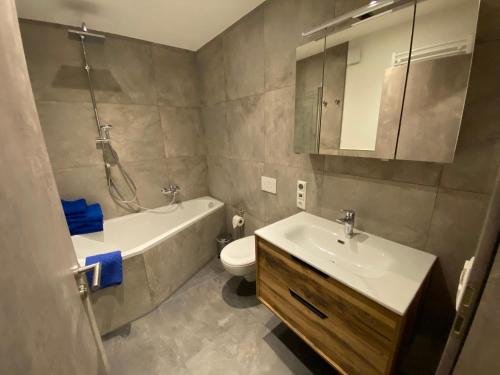 uma casa de banho com um lavatório, um WC e um chuveiro em Barrierefreies Ferienapartment A2 Villa Wilisch 55qm em Amtsberg
