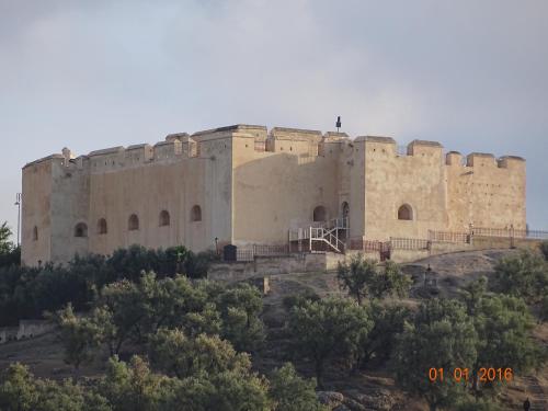a large building on top of a hill at Riad Fes Elite in Fès