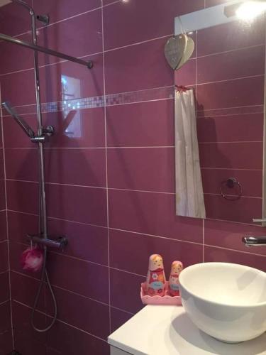 La salle de bains violette est pourvue d'un lavabo et d'une douche. dans l'établissement Gite Au fond du jardin, à Saint-Saturnin-lès-Avignon