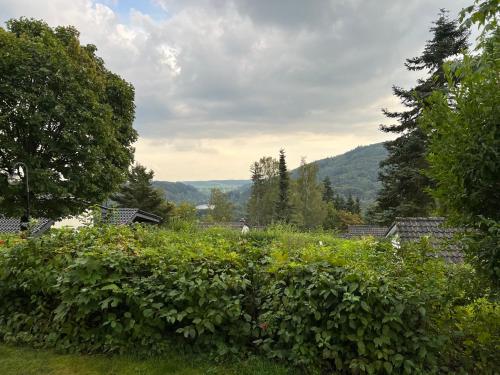 a field of bushes with mountains in the background at Landhaus 918 in Koosbüsch
