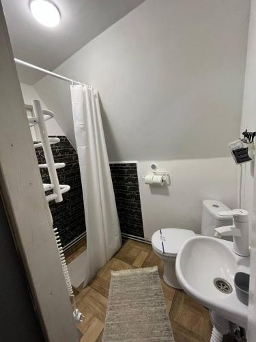 a bathroom with a white toilet and a sink at A frame house Kryvorivnia in Verkhniy Yasenov