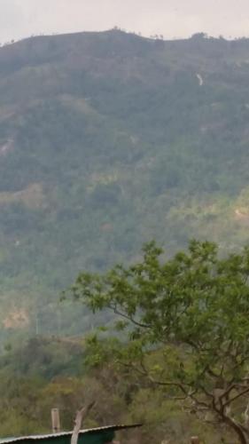 CABAÑAS CAMPO ALEGRE : اطلاله على جبل مع شجره في المقدمه