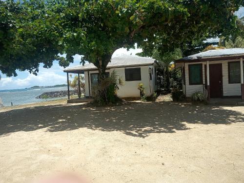 una casa con un árbol junto a la playa en Vacation beach fale, en Manase