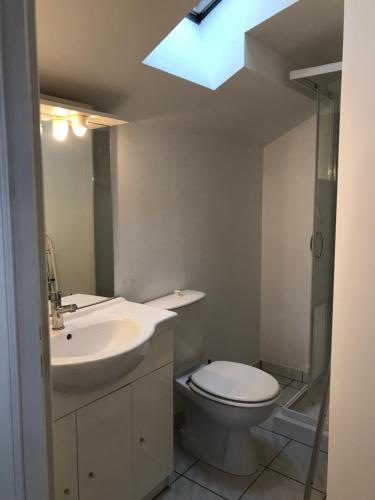 La salle de bains est pourvue de toilettes, d'un lavabo et d'une lucarne. dans l'établissement LE PETIT FAURE - Face aux Thermes - Calme - Parking gratuit, à Vichy