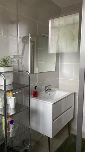 une salle de bain avec un lavabo blanc et un miroir dans l'établissement Maison Quiétude, à Chavanoz