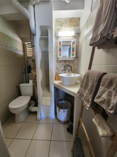 een kleine badkamer met een toilet en een wastafel bij Studio face à la mer au pied de la Marina in Le Marin