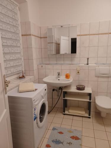 格賴夫斯瓦爾德的住宿－FeWo s Runde Wiese WR，一间带洗衣机和水槽的浴室