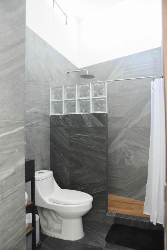 a bathroom with a toilet and a shower at CASA LUMBA in Guadalajara