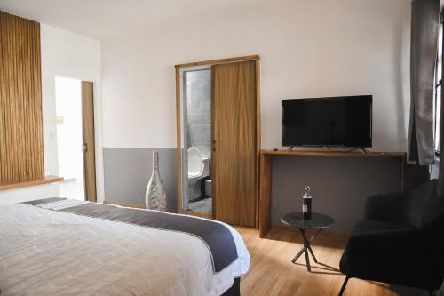 a bedroom with a bed and a tv and a chair at CASA LUMBA in Guadalajara