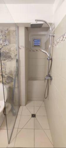 La salle de bains est pourvue d'une douche et de toilettes. dans l'établissement Studio face à la Marina, vue mer, au Marin