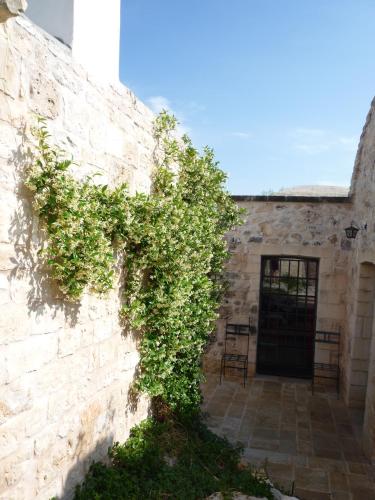 a stone wall with ivy growing on it at Casa Vacanze Riposo Del Vento in Cisternino