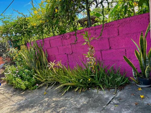 un muro di mattoni rosa con piante davanti di Tamernique Apartments a DʼArbeau