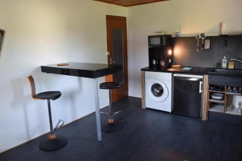 une cuisine avec un évier et une machine à laver dans l'établissement Studio à la campagne proche du lac, à Chenereilles