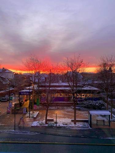 a park with trees and a sunset in the background at Apartment- Architec designed in Charlottenlund