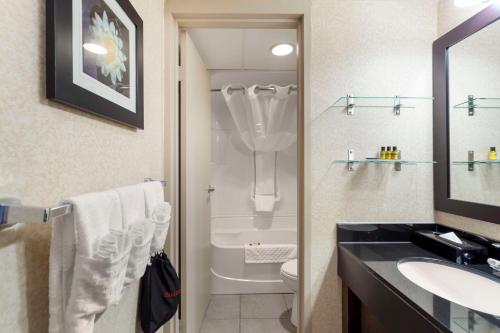 a bathroom with a sink and a toilet at Best Western PLUS City Centre Inn in Edmonton
