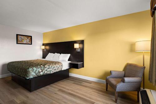 a hotel room with a bed and a chair at Econo Lodge White Pine Morristown I-81 & I-40 Split in White Pine