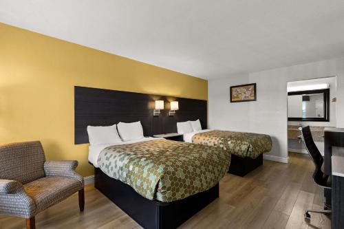 una habitación de hotel con 2 camas y una silla en Econo Lodge White Pine Morristown I-81 & I-40 Split, en White Pine